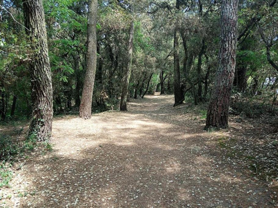 Studio Au Coeur Du Golf De Port Bourgenay, Proche Des Sables D'Olonne Talmont-Saint-Hilaire 外观 照片