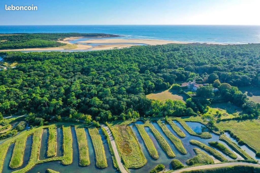 Studio Au Coeur Du Golf De Port Bourgenay, Proche Des Sables D'Olonne Talmont-Saint-Hilaire 外观 照片